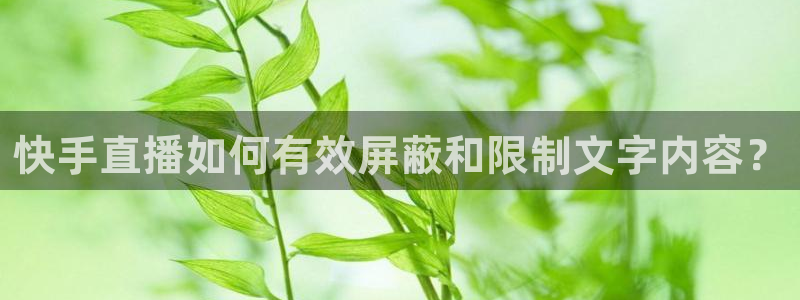 松鼠客户端