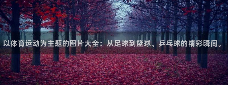 利记官方正版app集团:以体育运动为主题的图片大全:从足球到